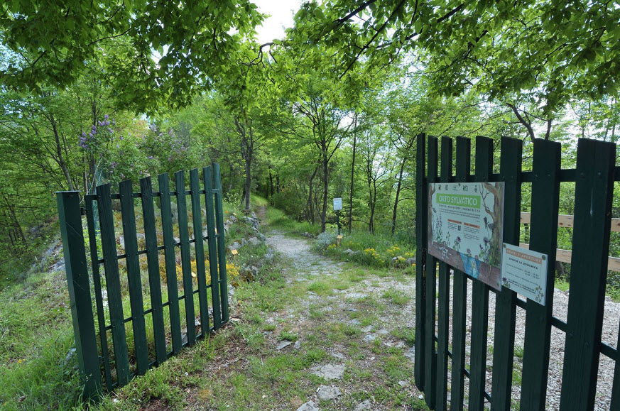 Giardino Botanico di Collepardo, Collepardo, Province of Frosinone, Italy, Italy